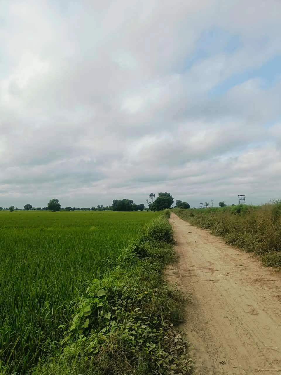 Malhu, Mathura, Uttar Pradesh 281123, India