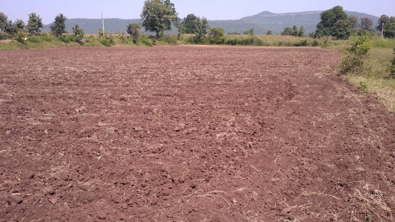 Neemkheda, Madhya Pradesh 482021, India