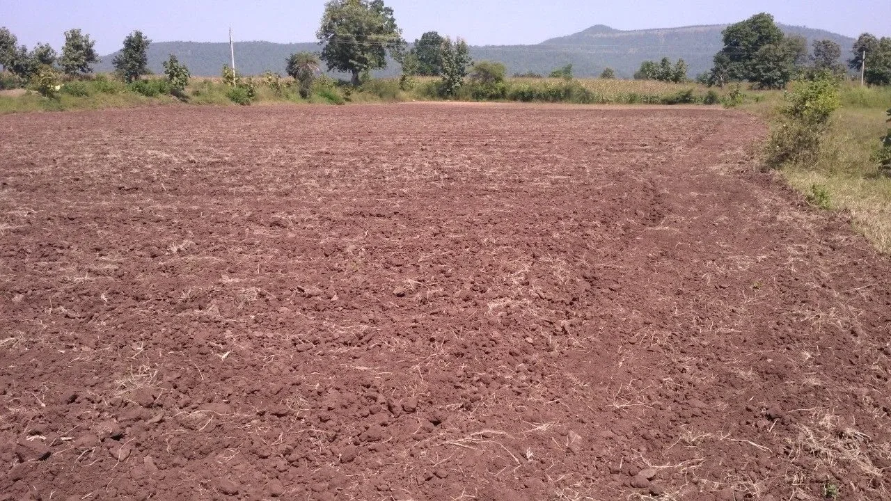 Neemkheda, Madhya Pradesh 482021, India