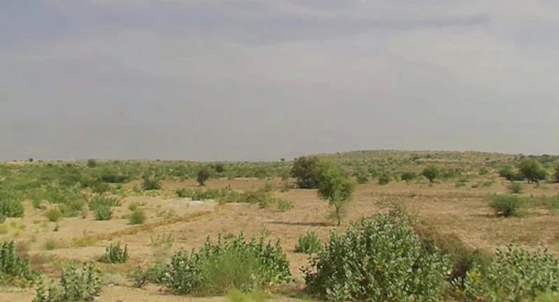 Chhattargarh, Rajasthan 334021, India preview 3