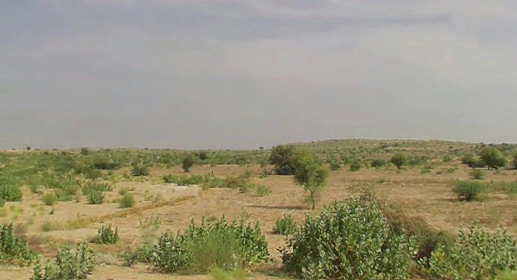 Chhattargarh, Rajasthan 334021, India