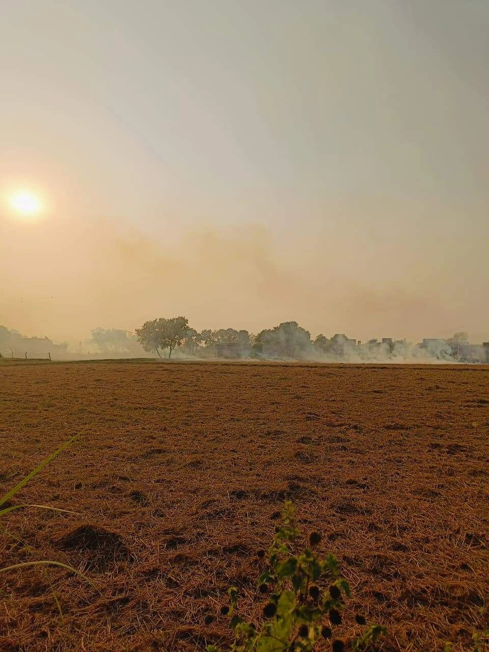 Borpa, Mathura, Uttar Pradesh, India - Photo 2