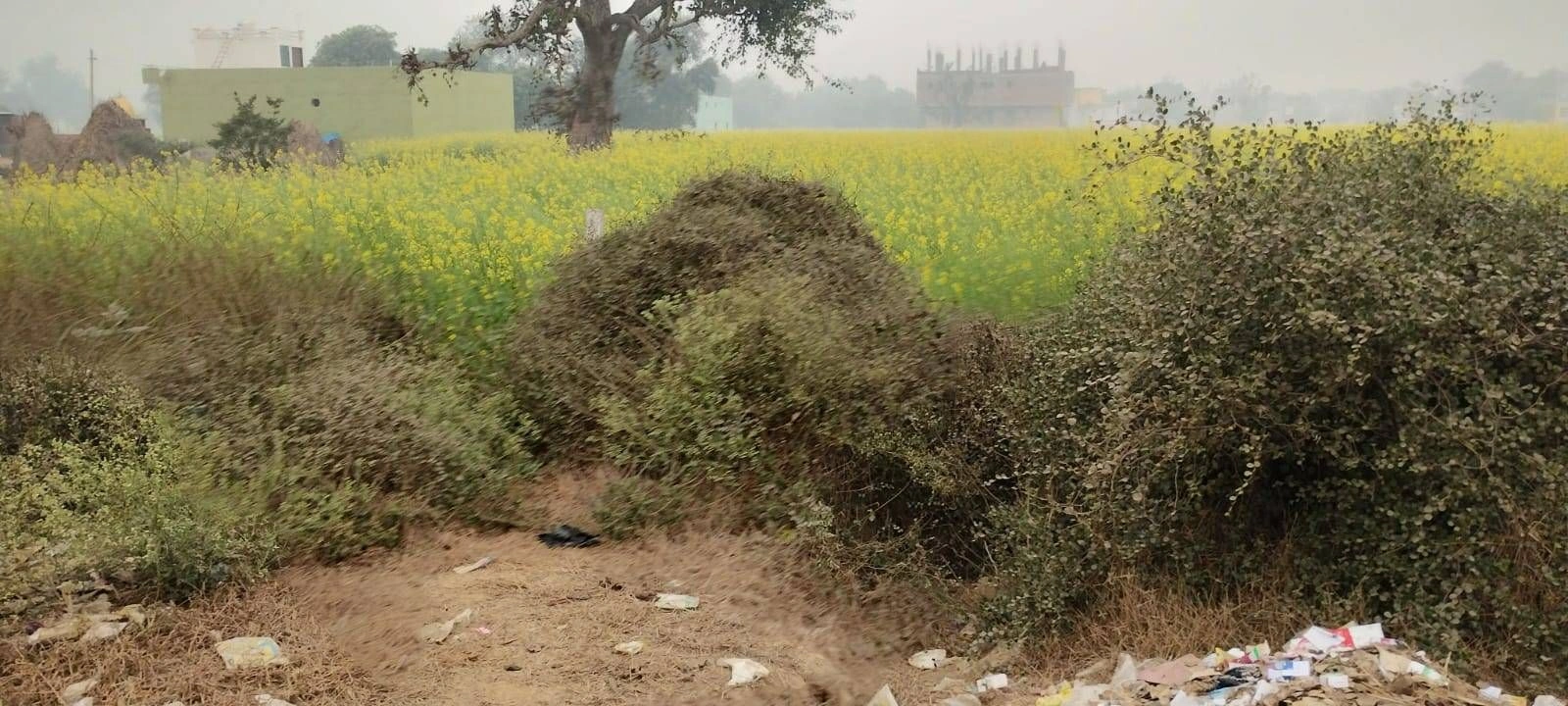 Kashipur, West Bengal 723132, India