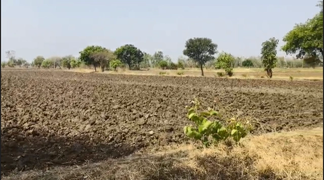 87XW+HXQ, Neemuch, Kundla, Madhya Pradesh 458113, India