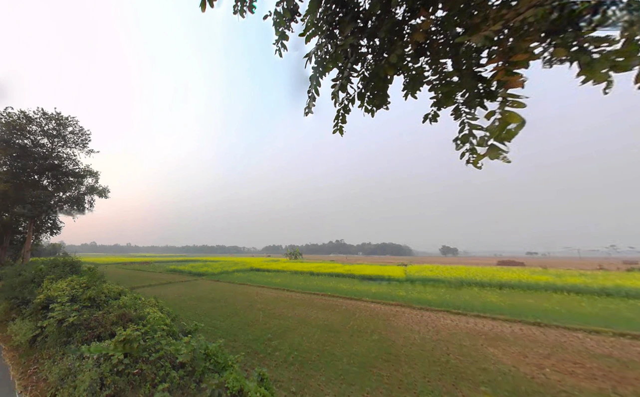 Jaguli, West Bengal, India