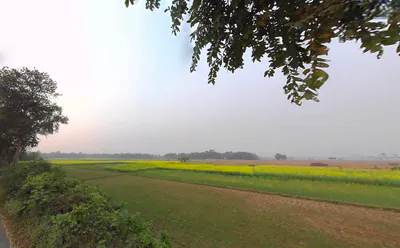 Jaguli, West Bengal, India preview 2