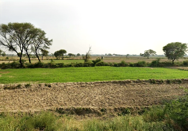 Dangoli Khadar Rd, Panigaon Khader, Uttar Pradesh 281121, India