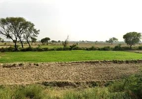 Dangoli Khadar Rd, Panigaon Khader, Uttar Pradesh 281121, India preview 2