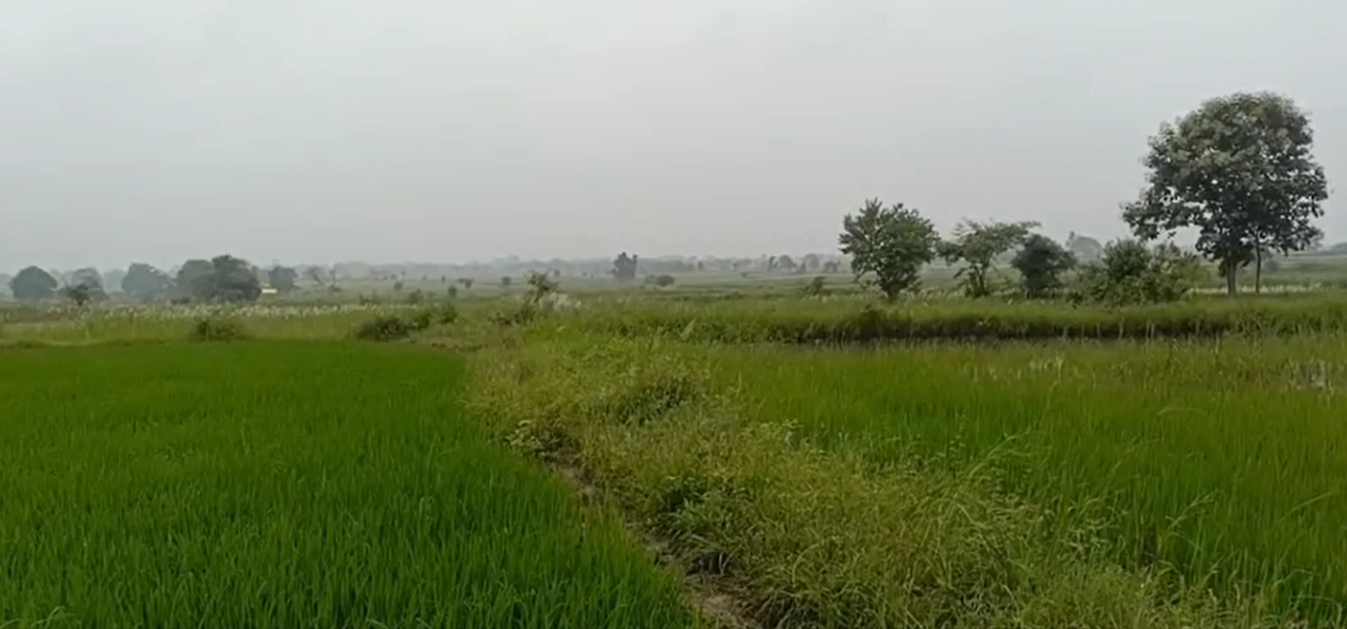 Ghusiya Mal., Dindori, Madhya Pradesh 481879, India