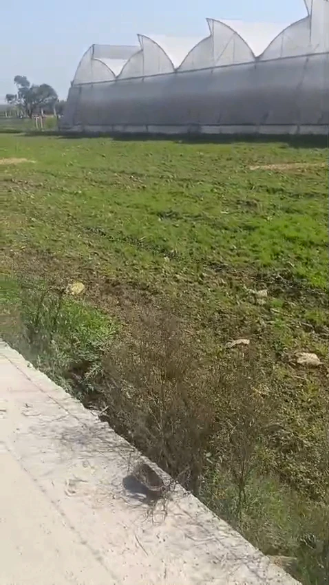 PJJ8+R4J, Afrashah Pur, Uttar Pradesh 245304, India