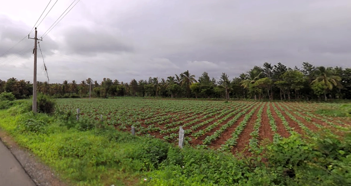 Heggadadevankote, Karnataka 571114, India