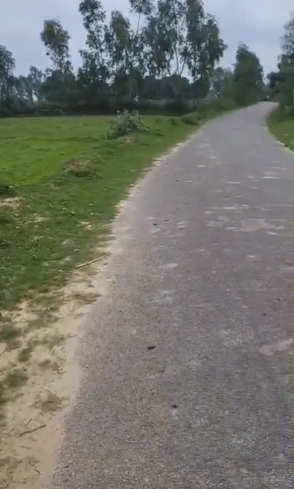 Lakhimpur, Uttar Pradesh 262701, India preview 3