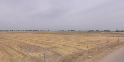 Nane, Maharashtra 410405, India preview 3