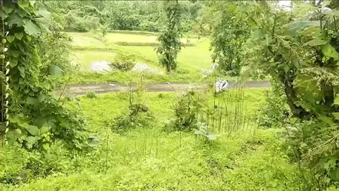 M6FH+4QR, Palghar, Shele, Maharashtra 421303, India