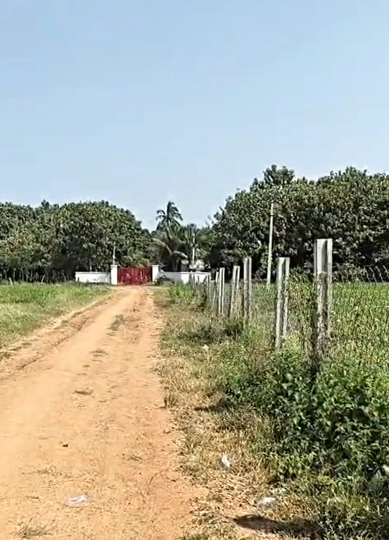 W633+R6 Kowdipally, Medak, Telangana, India - Photo 2