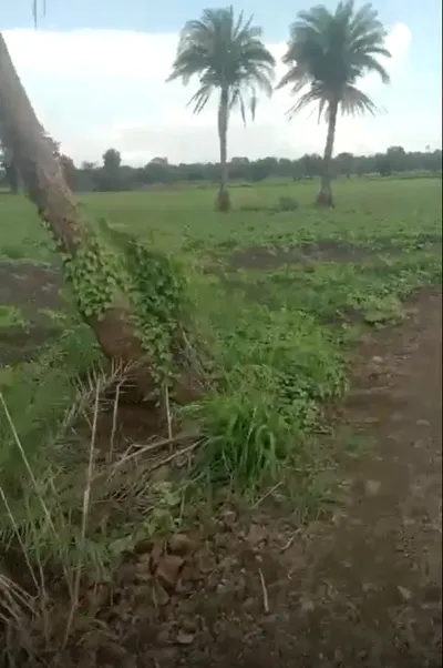 Matkuli, Narmadapuram, Madhya Pradesh 461775, India preview 3