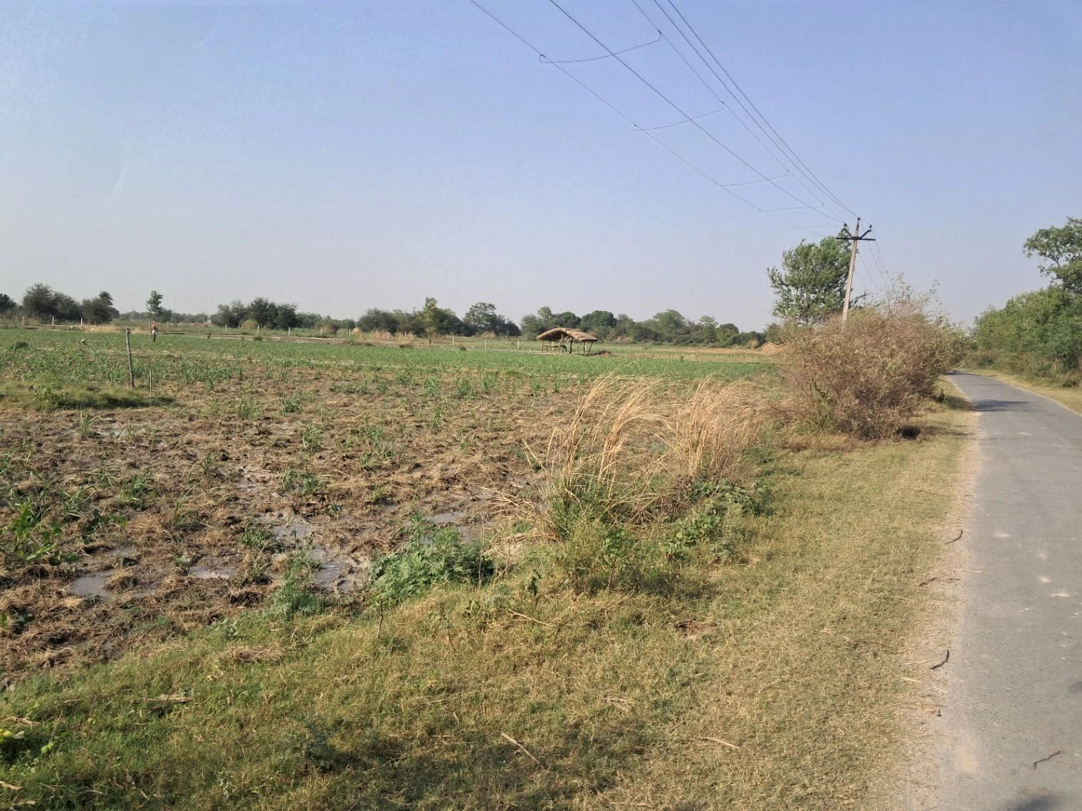 M4VX+RM Mainuddinpur, Uttar Pradesh, India