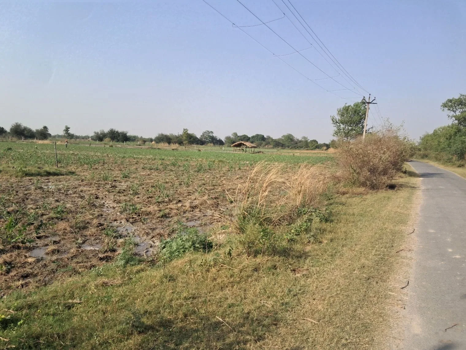 M4VX+RM Mainuddinpur, Uttar Pradesh, India
