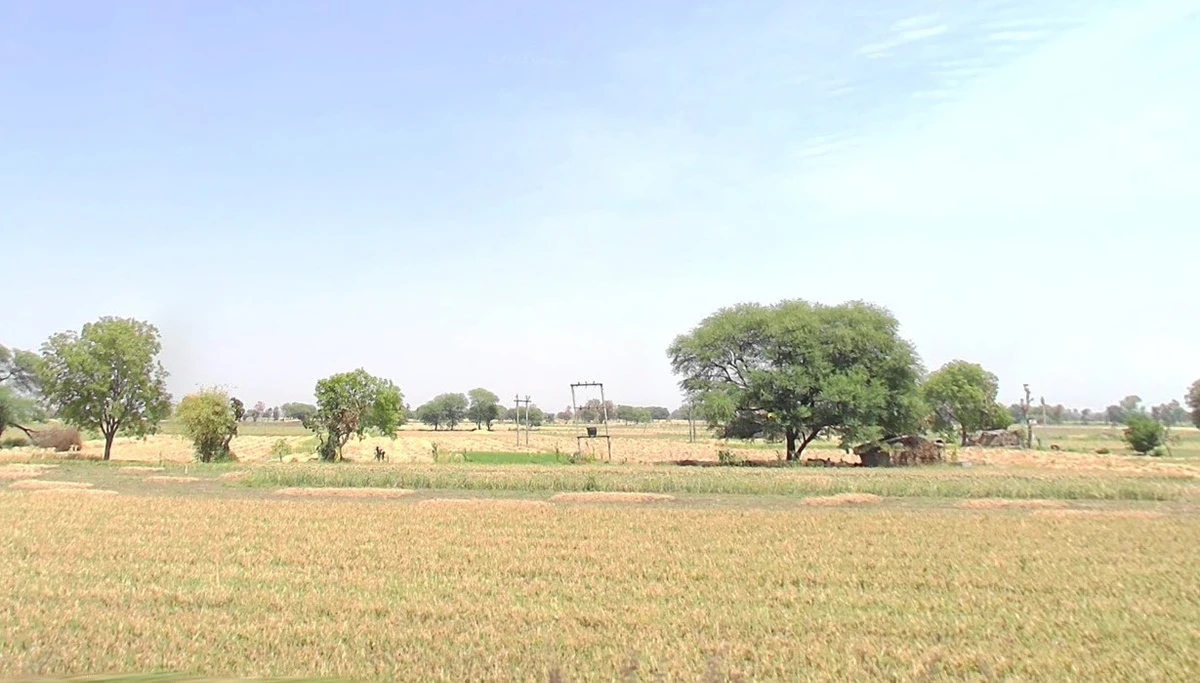 Rampur, Madhya Pradesh 485115, India