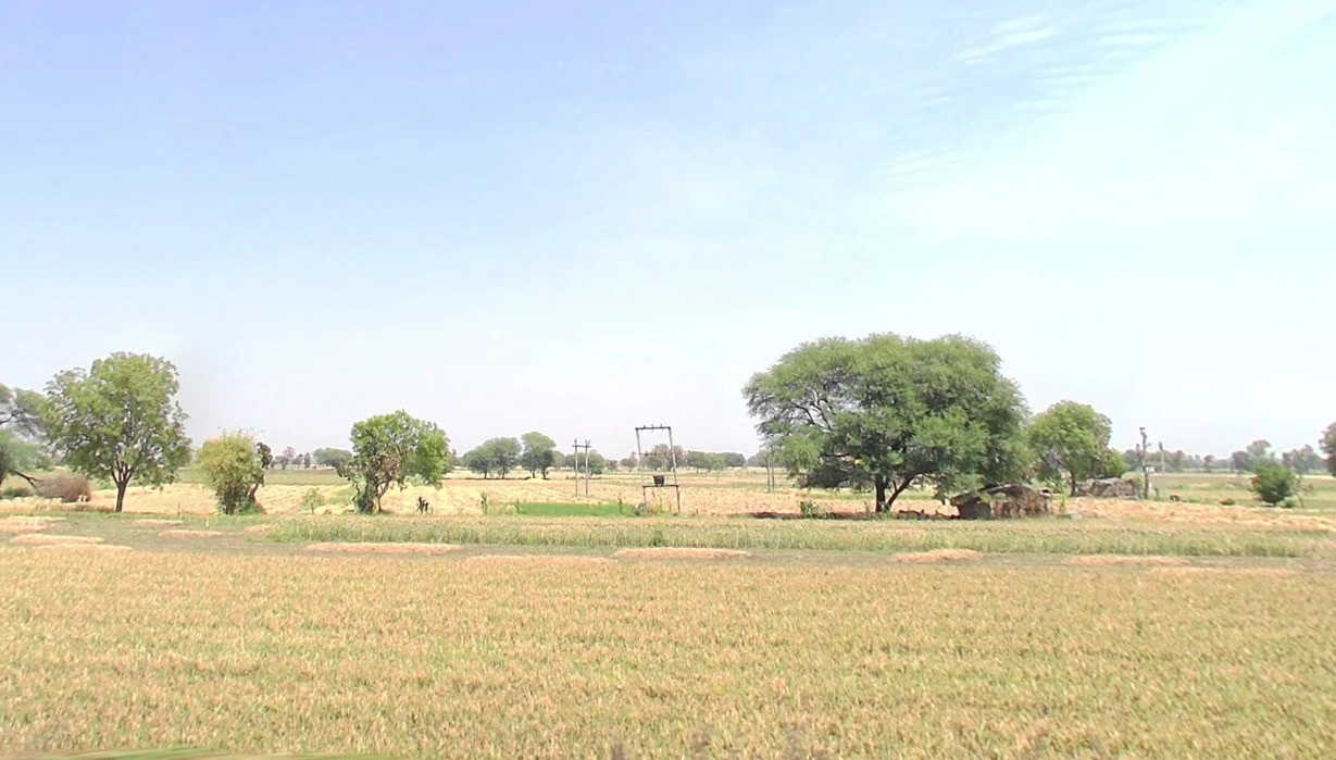 Rampur, Madhya Pradesh 485115, India