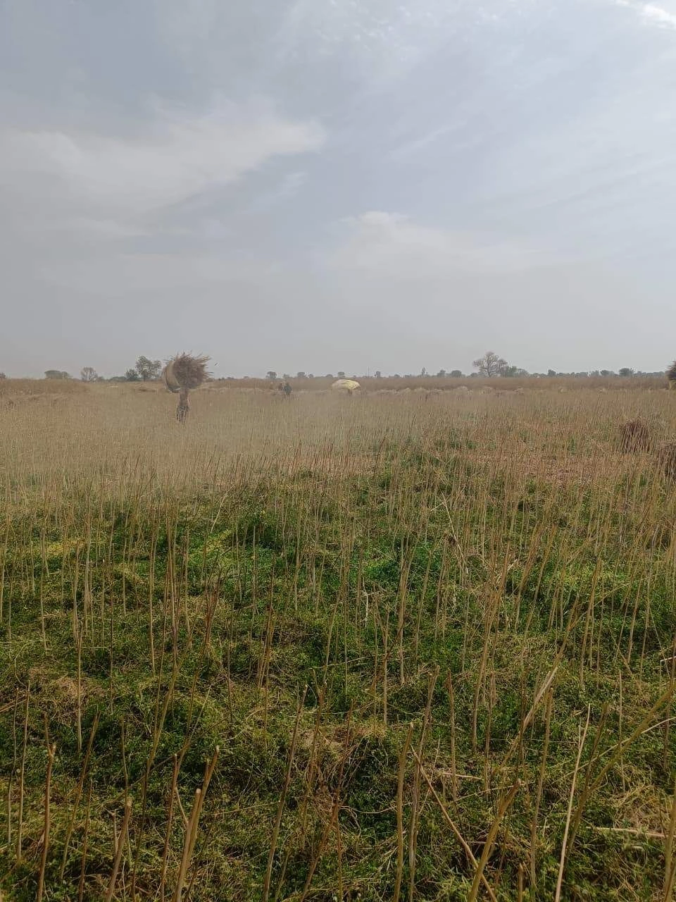 Gharwari, Rajasthan 321201, India preview 3