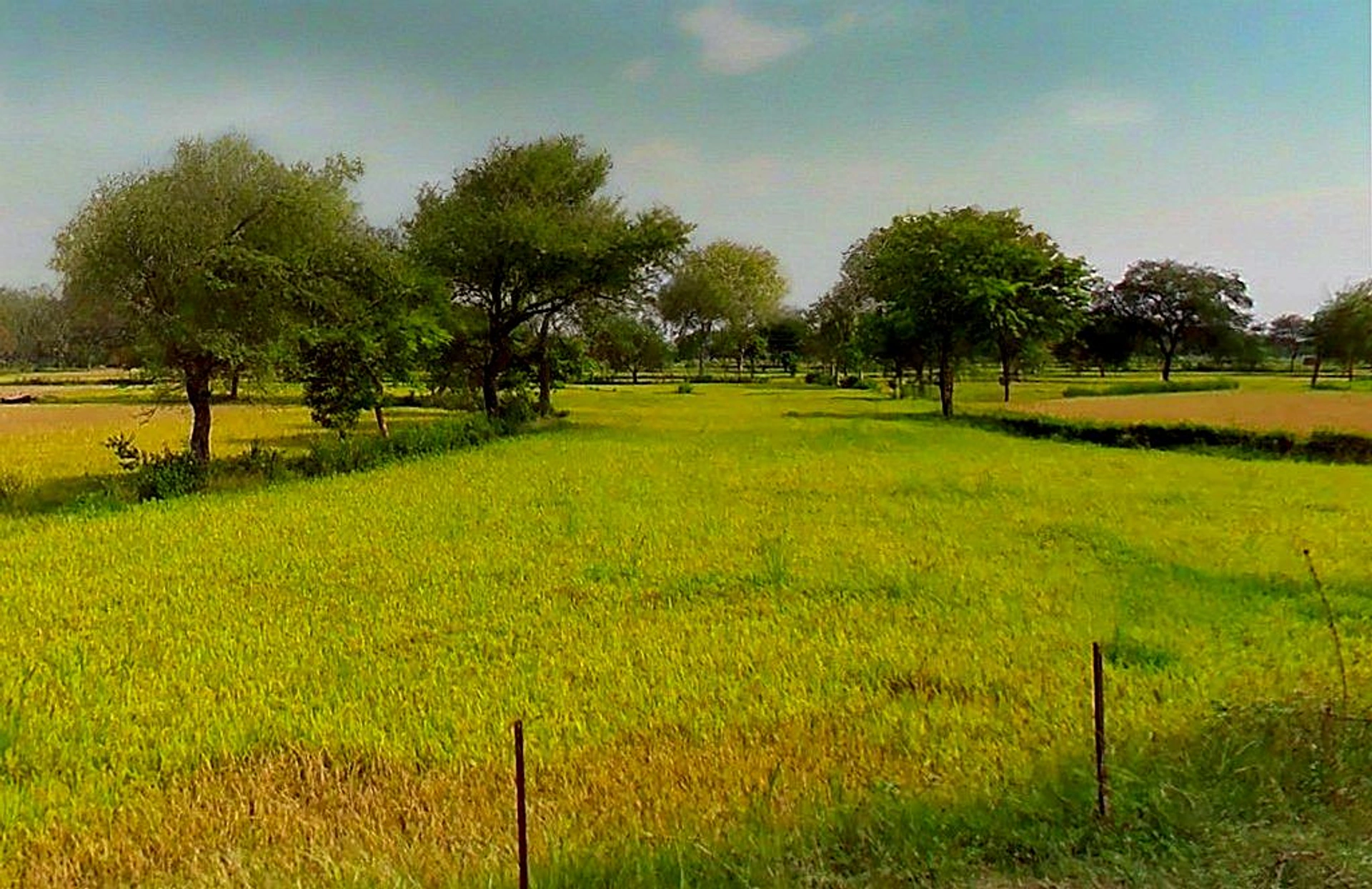 Daganiya, Chhattisgarh, India