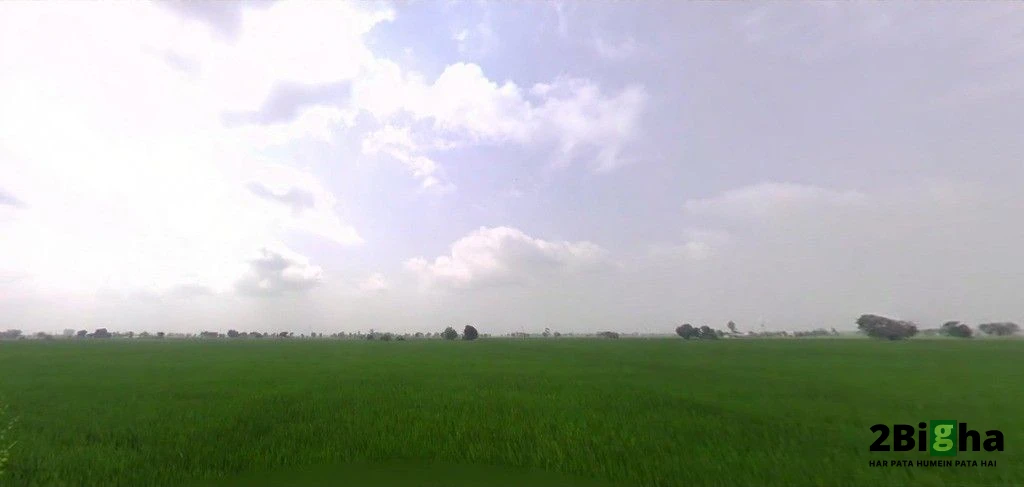 WG64+2MV, VILL, Thana, Haryana 136030, India