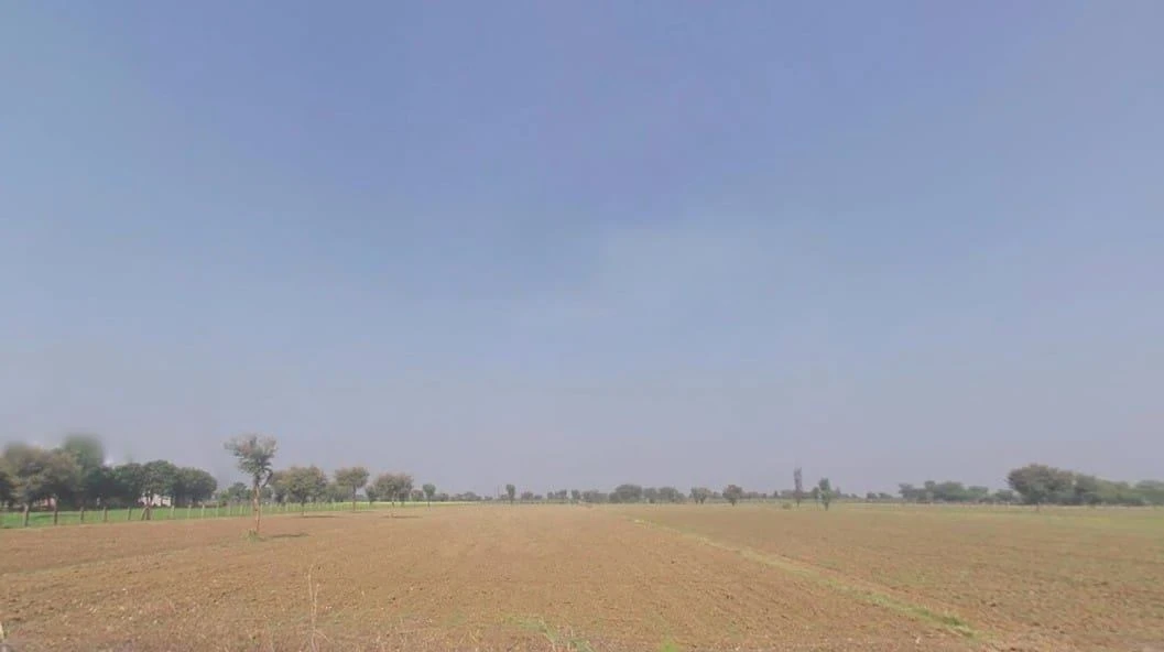 Desuri, Rajasthan 306703, India