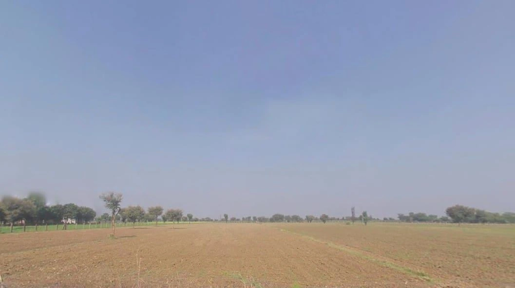 Desuri, Rajasthan 306703, India