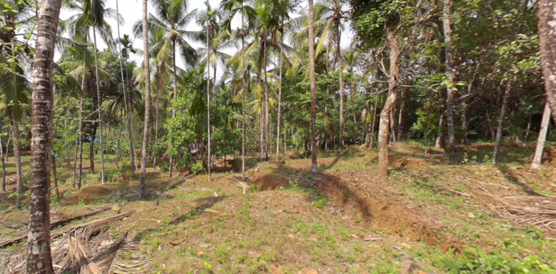 76MQ+FV8, Chandakunnu, Nilambur, Kerala 679329, India