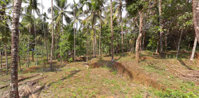 76MQ+FV8, Chandakunnu, Nilambur, Kerala 679329, India preview 3