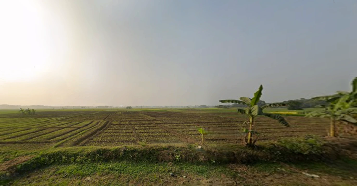 Shikharpur P.O, Bagu, Newtown, Sikharpur, Kolkata, West Bengal 700135, India