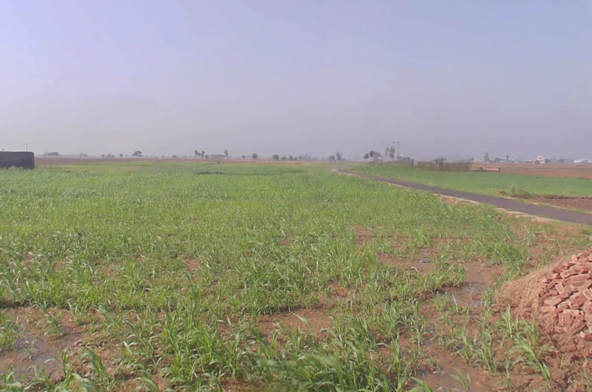 Chandpur, Uttar Pradesh 246725, India