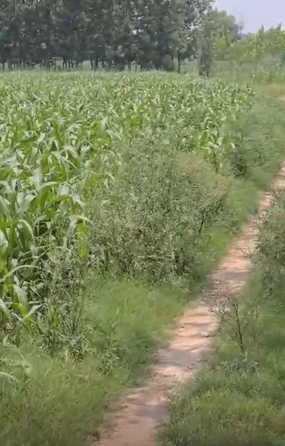Khatauli, Muzaffarnagar, Uttar Pradesh 251201, India preview 3