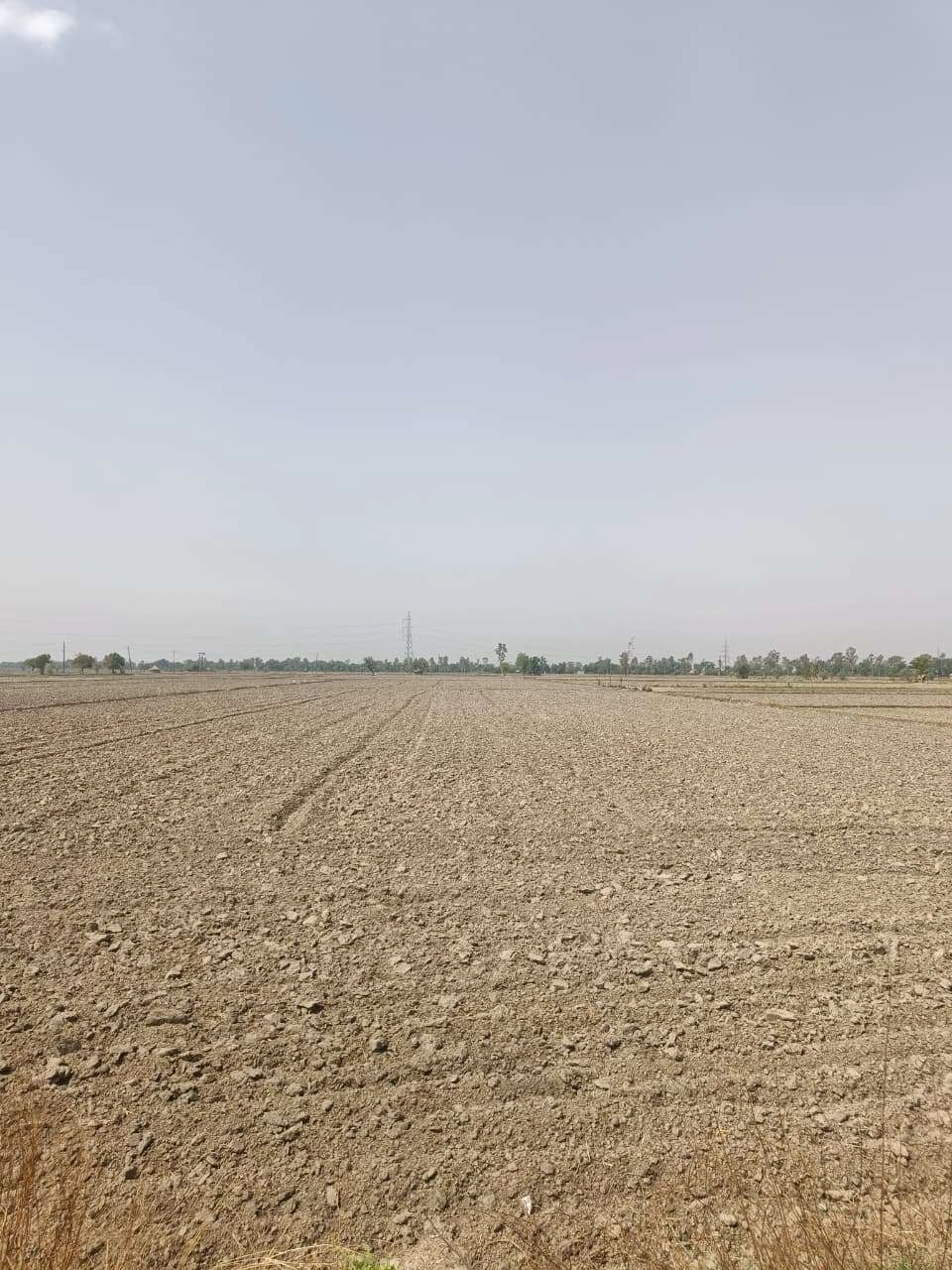 Aou, Rajasthan, India