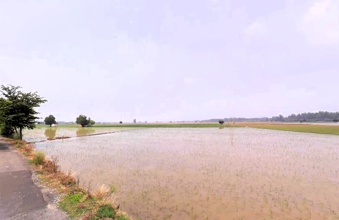 Cheeka, Haryana, India