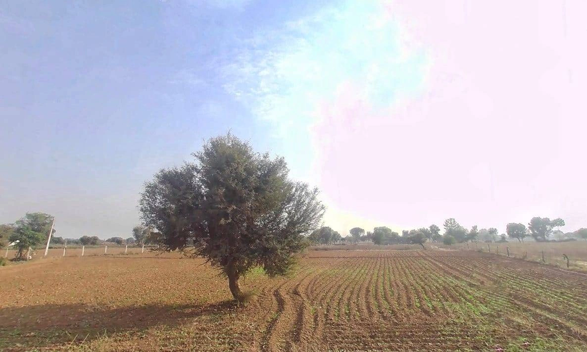 Gujuki, Rajasthan 301030, India