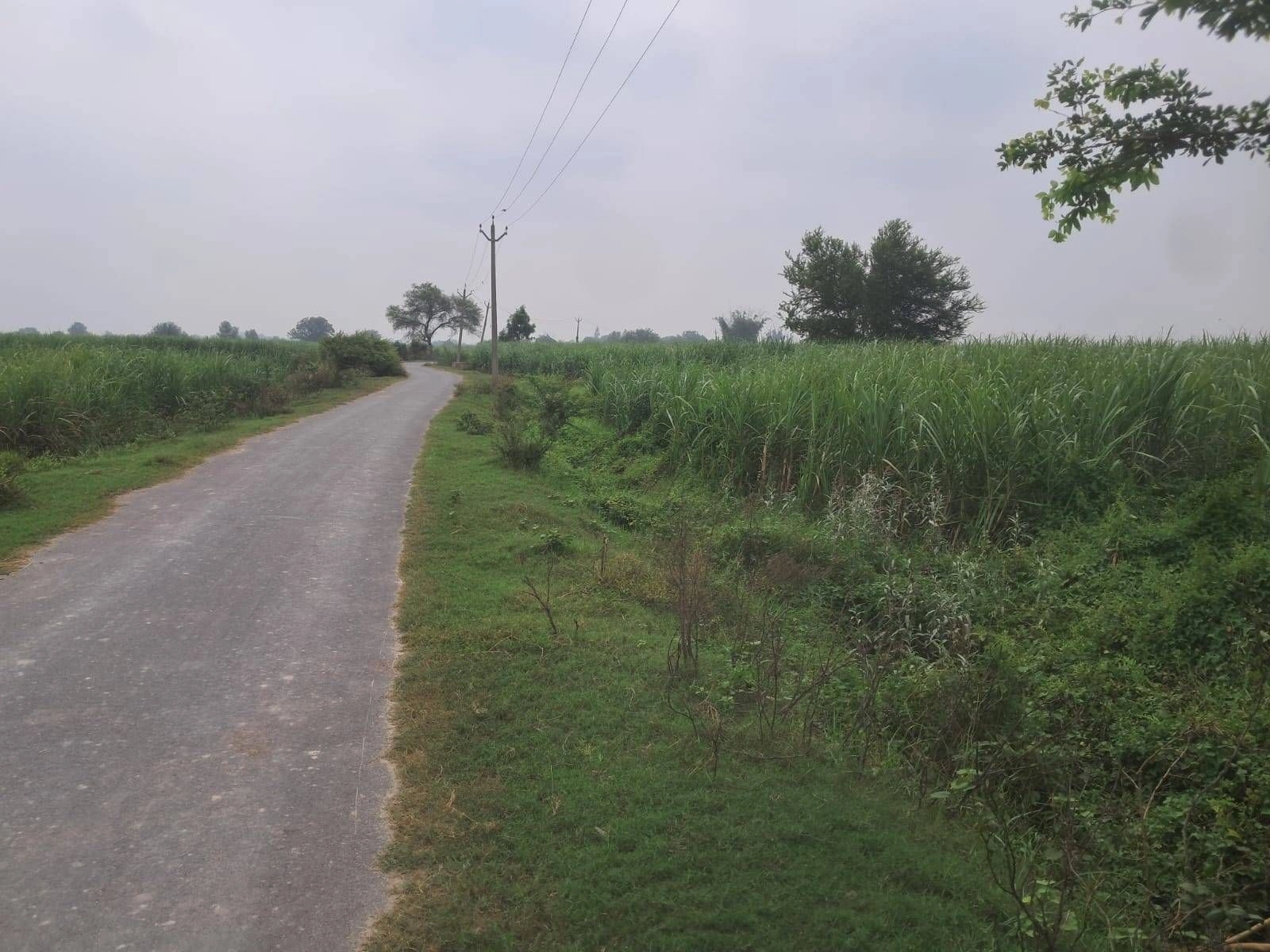 Q62X+CC Kudha Keshar Pur Manjh, Ayodhya, Uttar Pradesh, India