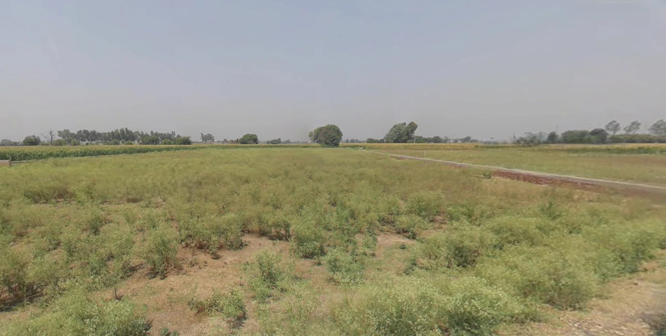 Nakodar, Punjab 144040, India