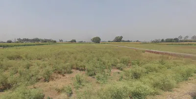 Nakodar, Punjab 144040, India preview 2
