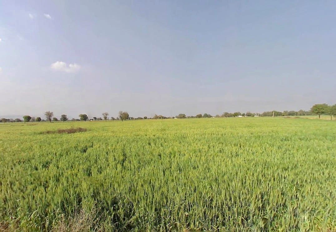 Gujuki, Rajasthan 301030, India