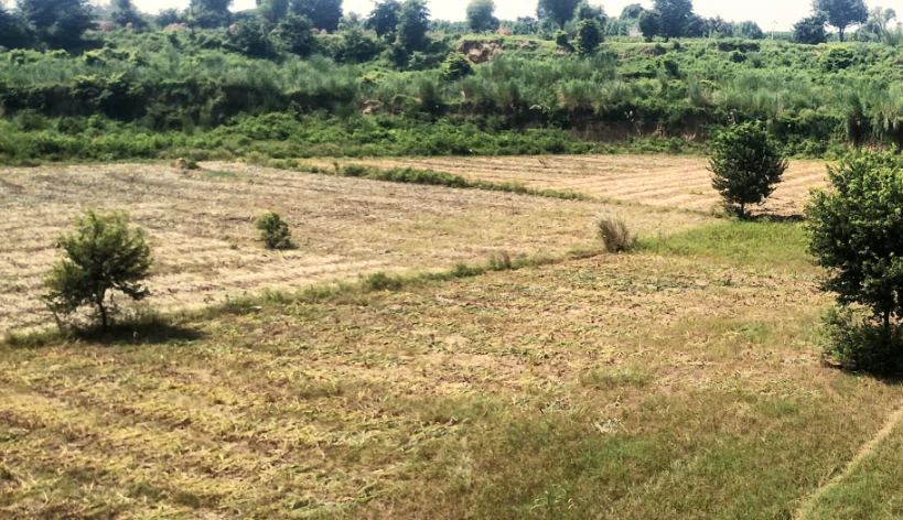 Balachaur, Punjab 144521, India