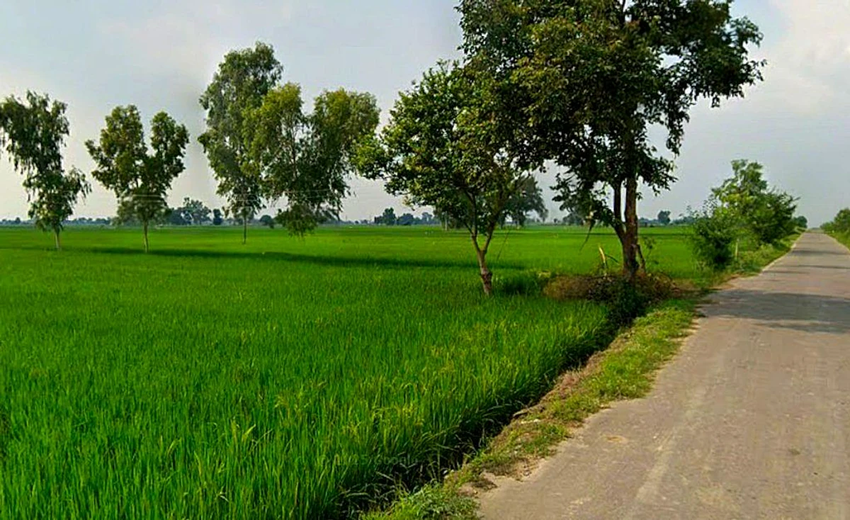 Basin, Chhattisgarh 491993, India