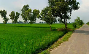 Basin, Chhattisgarh 491993, India preview 2