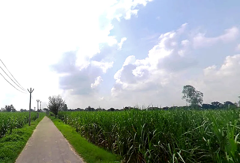 Saidpur, Uttar Pradesh 203411, India preview 2