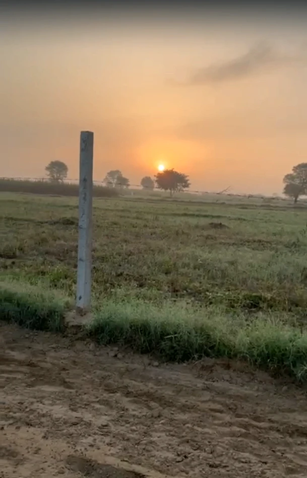 Manpura, Dudu, Rajasthan 303009, India