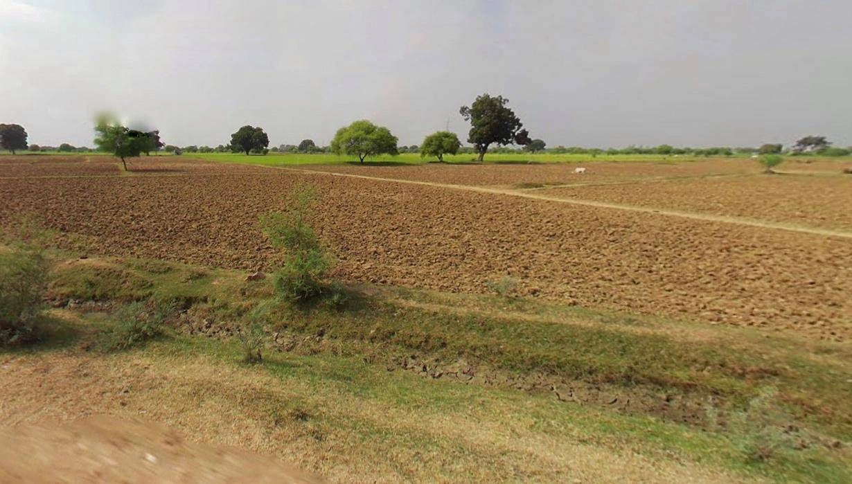 Silothi, Haryana, India