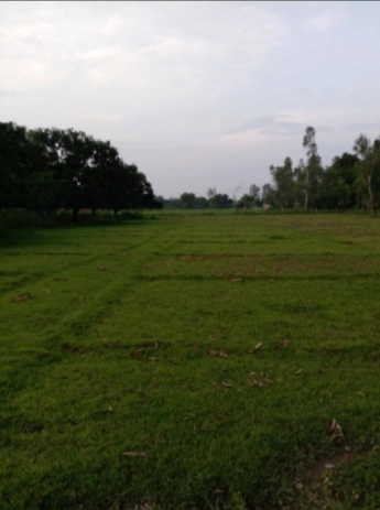 CCW9+W8 Latoori, Bareilly, Uttar Pradesh, India