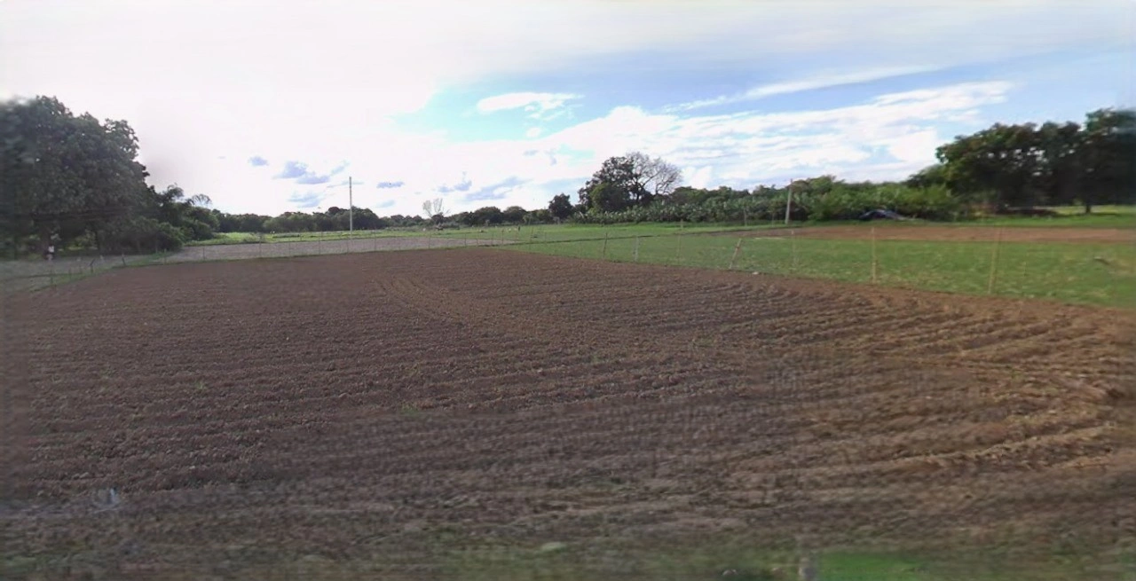 Barnagar, Madhya Pradesh 456771, India