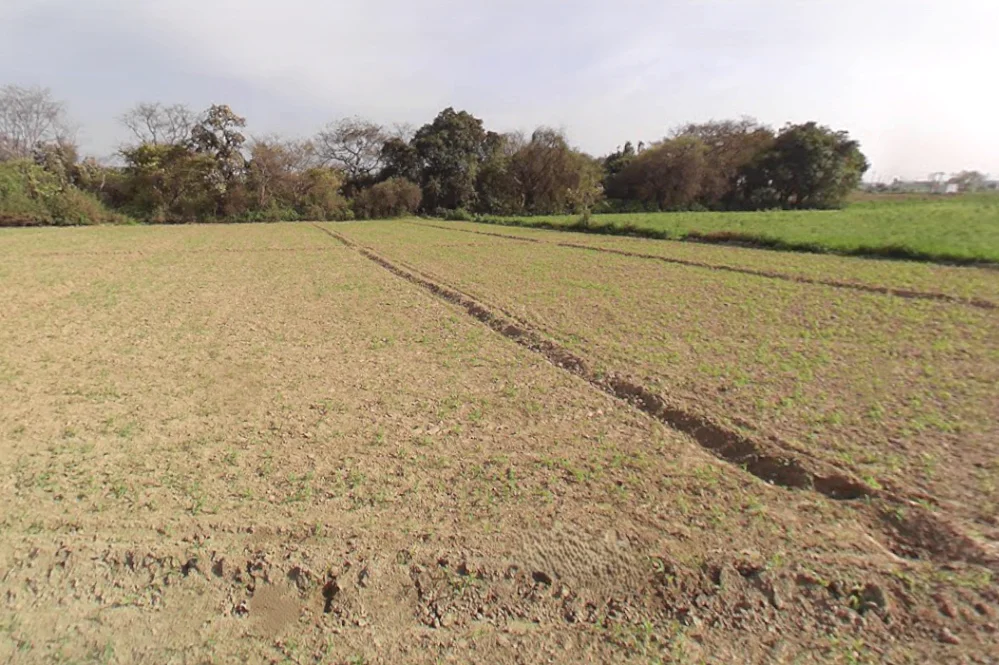 Jalalpur Jora, Uttar Pradesh 250401, India preview 2